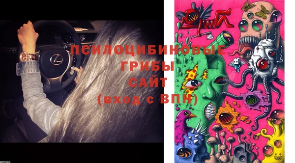 СК Верхний Тагил