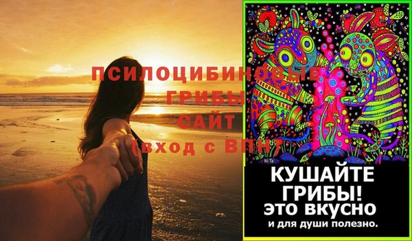 герыч Бронницы